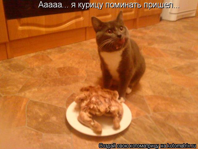 Ааааа... я курицу поминать пришел...... Котоматрица: Ааааа... я курицу поминать пришел...