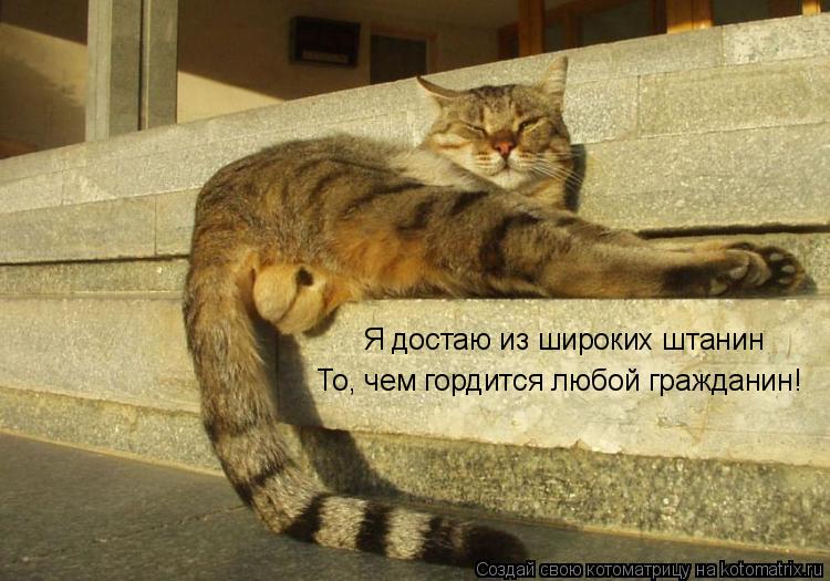Я достаю из широких штанин То, чем гордится любой гражданин!... Котоматрица: Я достаю из широких штанин То, чем гордится любой гражданин!