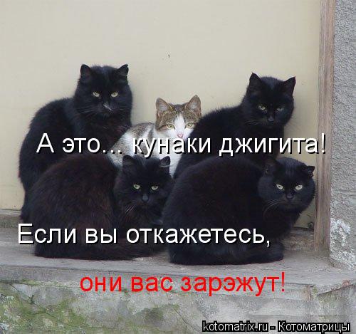 А это... кунаки джигита! Если вы откажетесь, они вас зарэжут!... Котоматрица: А это... кунаки джигита! Если вы откажетесь, они вас зарэжут!