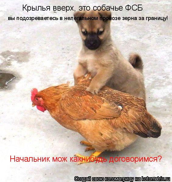 Крылья вверх, это собачье ФСБ вы подозреваетесь в нелегальном провозе зерна за границу! Начальник мо... Котоматрица: Крылья вверх, это собачье ФСБ вы подозреваетесь в нелегальном провозе зерна за границу! Начальник мож какнибудь договоримся?