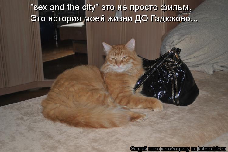 "sex and the city" это не просто фильм. Это история моей жизни ДО Гадюково...... Котоматрица: "sex and the city" это не просто фильм. Это история моей жизни ДО Гадюково...
