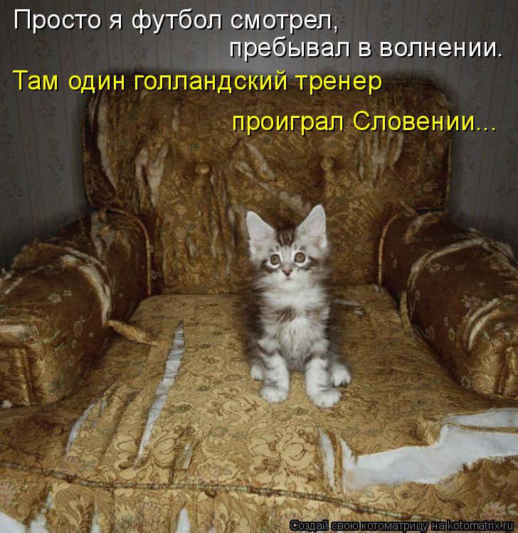 Просто я футбол смотрел, пребывал в волнении. Там один голландский тренер проиграл Словении...... Котоматрица: Просто я футбол смотрел, пребывал в волнении. Там один голландский тренер проиграл Словении...