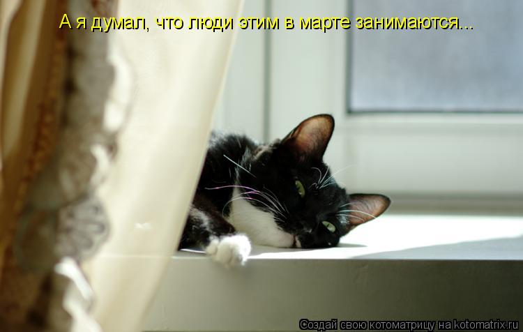 А я думал, что люди этим в марте занимаются...... Котоматрица: А я думал, что люди этим в марте занимаются...
