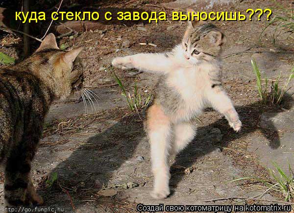 куда стекло с завода выносишь???... Котоматрица: куда стекло с завода выносишь???