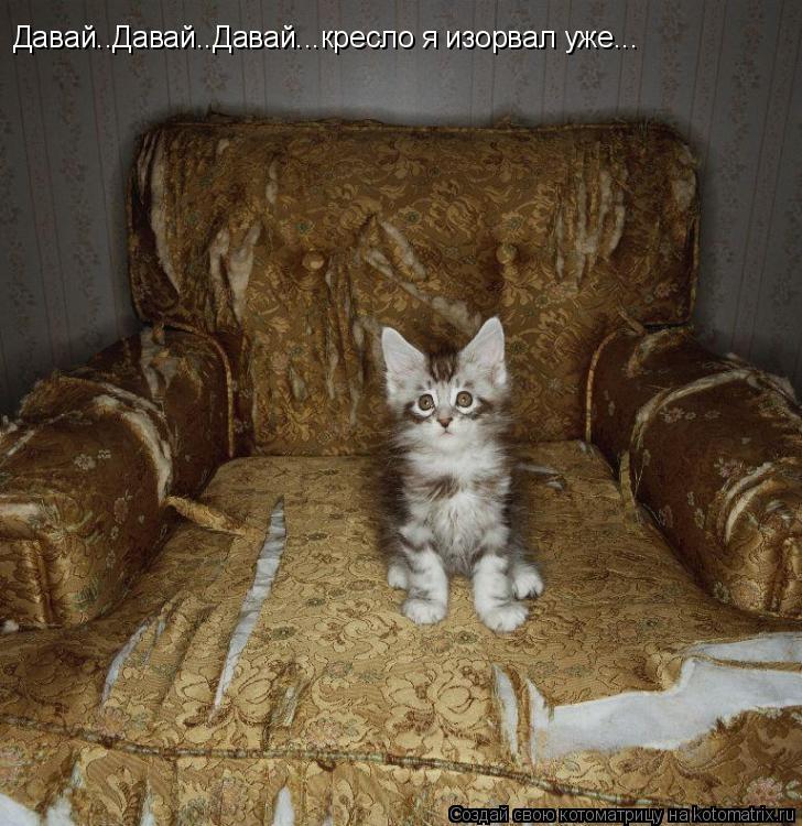 Давай..Давай..Давай...кресло я изорвал уже...... Котоматрица: Давай..Давай..Давай...кресло я изорвал уже...