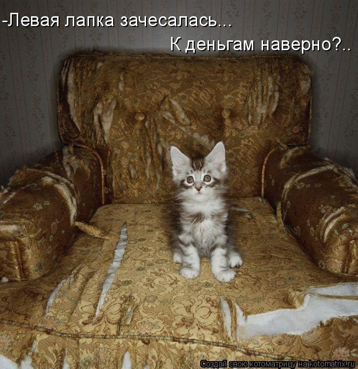 -Левая лапка зачесалась... К деньгам наверно?..... Котоматрица: -Левая лапка зачесалась... К деньгам наверно?..