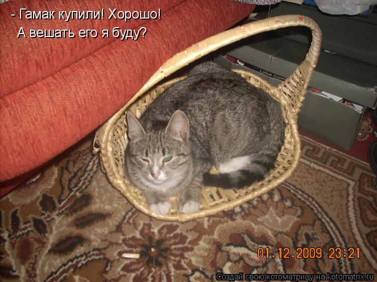 - Гамак купили! Хорошо! А вешать его я буду?... Котоматрица: - Гамак купили! Хорошо! А вешать его я буду?