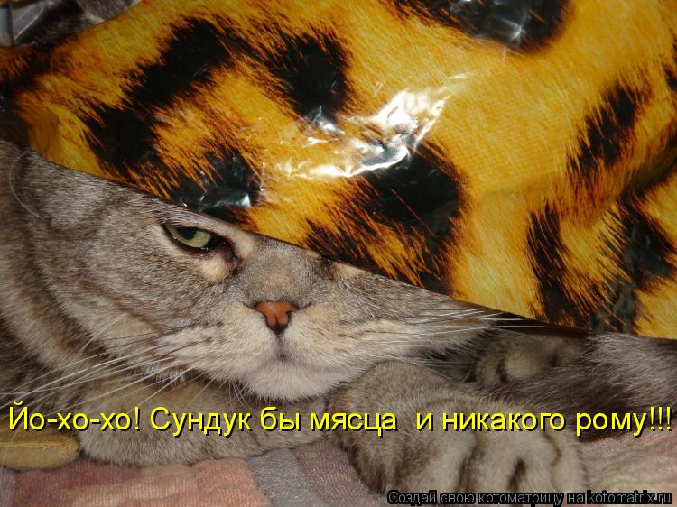 Йо-хо-хо! Сундук бы мясца и никакого рому!!!... Котоматрица: Йо-хо-хо! Сундук бы мясца и никакого рому!!!