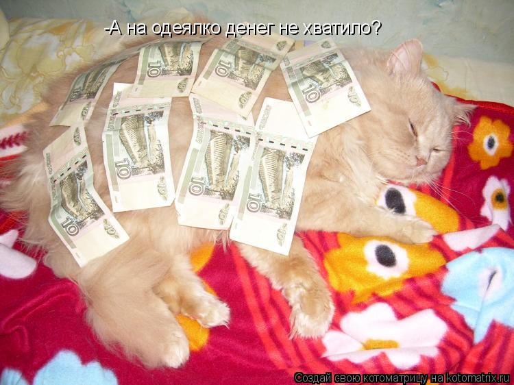-А на одеялко денег не хватило?... Котоматрица: -А на одеялко денег не хватило?
