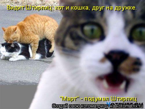 Видит Штирлиц: кот и кошка, друг на дружке. "Март" - подумал Штирлиц... Котоматрица: Видит Штирлиц: кот и кошка, друг на дружке. "Март" - подумал Штирлиц