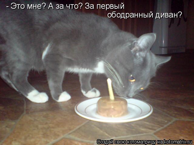 - Это мне? А за что? За первый ободранный диван?... Котоматрица: - Это мне? А за что? За первый ободранный диван?
