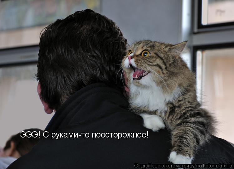 ЭЭЭ! С руками-то поосторожнее!... Котоматрица: ЭЭЭ! С руками-то поосторожнее!