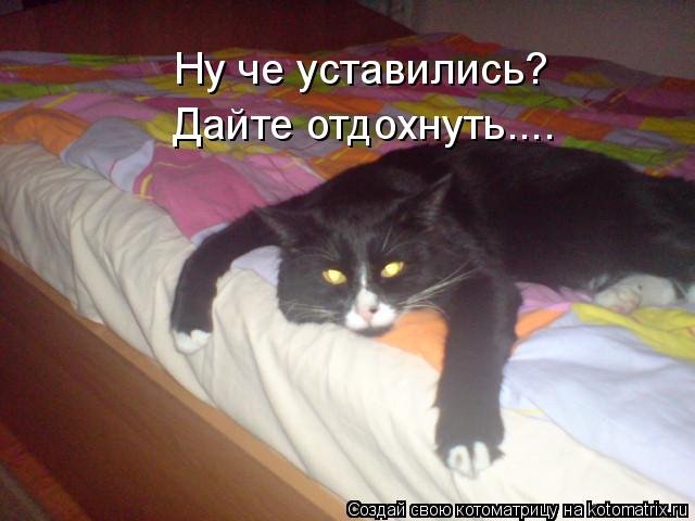 Ну че уставились? Дайте отдохнуть....... Котоматрица: Ну че уставились? Дайте отдохнуть....