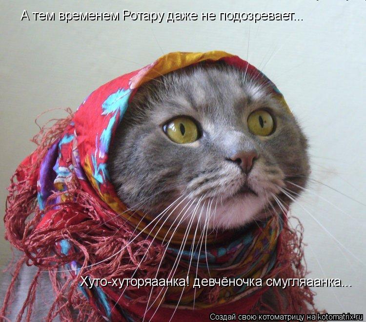 А тем временем Ротару даже не подозревает... Хуто-хуторяаанка! девчёночка смугляаанка... Хуто-хуторяа... Котоматрица: А тем временем Ротару даже не подозревает... Хуто-хуторяаанка! девчёночка смугляаанка... Хуто-хуторяаанка! девчёночка смугляаанка...