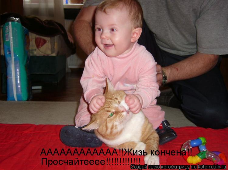 АААААААААААА!!Жизь кончена!! Просчайтееее!!!!!!!!!!!!!... Котоматрица: АААААААААААА!!Жизь кончена!! Просчайтееее!!!!!!!!!!!!!
