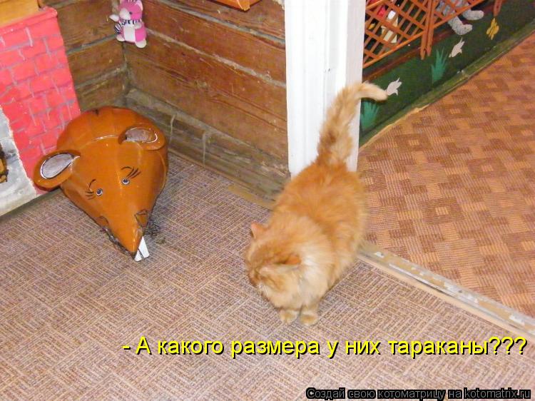 - А какого размера у них тараканы???... Котоматрица: - А какого размера у них тараканы???