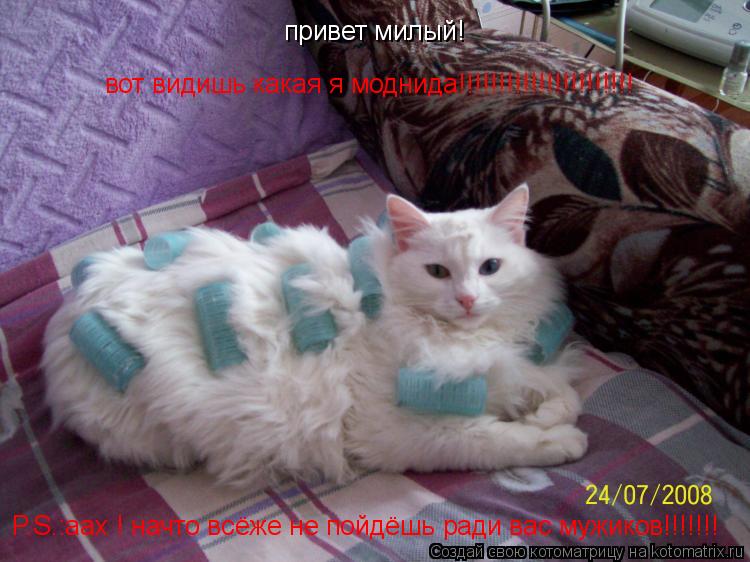 вот видишь какая я моднида!!!!!!!!!!!!!!!!!!!!!! P.S.:аах ! начто всёже не пойдёшь ради вас мужиков!!... Котоматрица: вот видишь какая я моднида!!!!!!!!!!!!!!!!!!!!!! P.S.:аах ! начто всёже не пойдёшь ради вас мужиков!!!!!!! привет милый!
