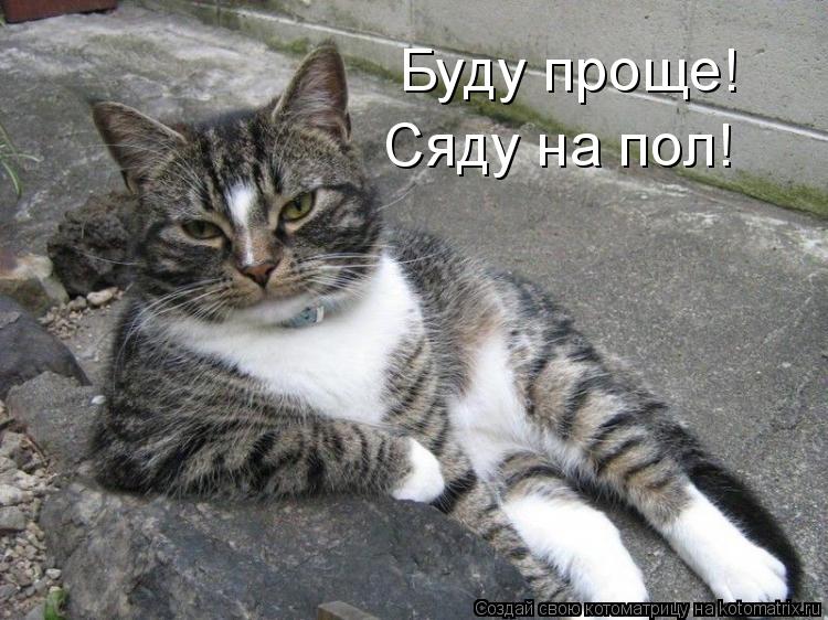 Буду проще! Сяду на пол!... Котоматрица: Буду проще! Сяду на пол!