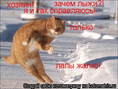 Котоматрица: хозяин! зачем лыжи?! я и так справляюсь! лапы жалко!.. только...-