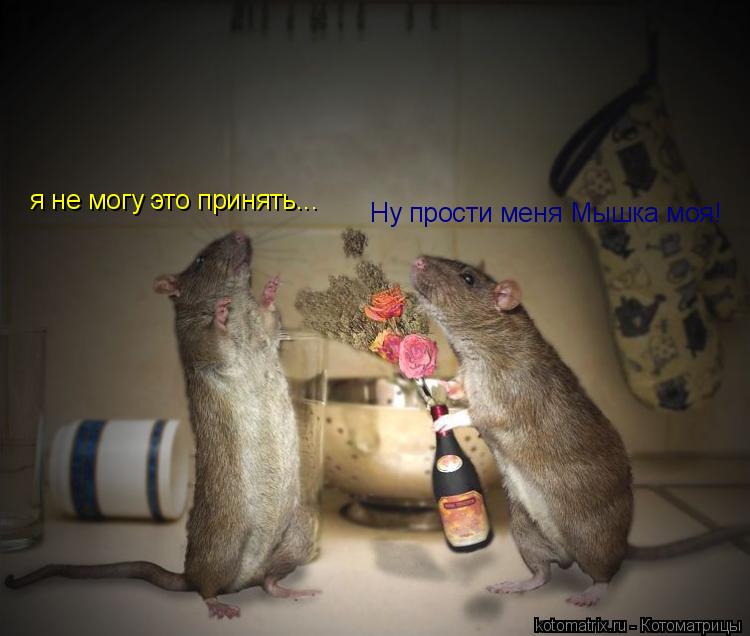 Котоматрица: Ну прости меня Мышка моя! я не могу это принять...