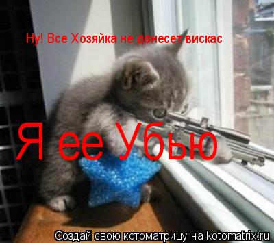 Котоматрица: Ну! Все Хозяйка не донесет вискас Я ее Убью