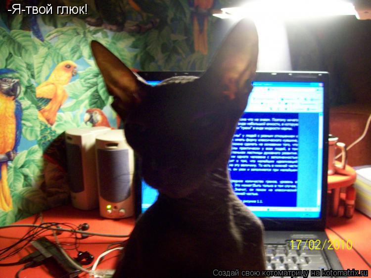 Котоматрица: -Я-твой глюк!