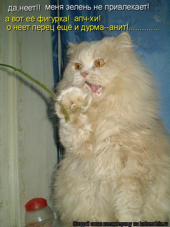 Котоматрица: да,неет!! меня зелень не привлекает! а вот её фигурка! апч-хи! о неет перец ещё и дурма--анит!..............