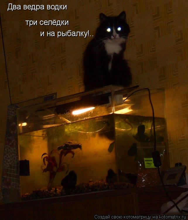 Котоматрица: Два ведра водки три селёдки и на рыбалку!..