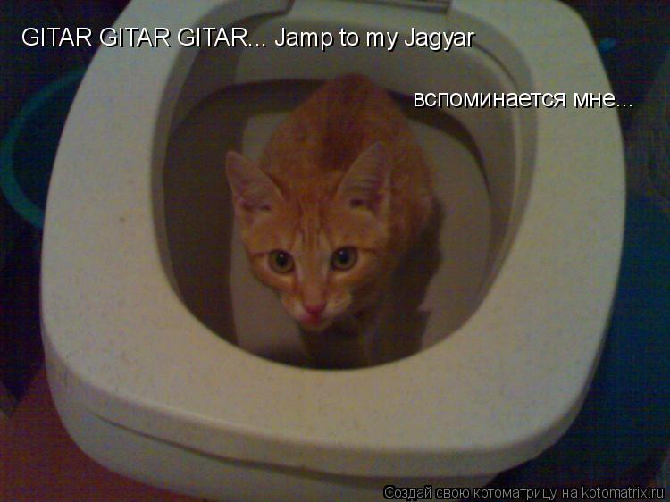 GITAR GITAR GITAR... Jamp to my Jagyar вспоминается мне...... Котоматрица: GITAR GITAR GITAR... Jamp to my Jagyar вспоминается мне...