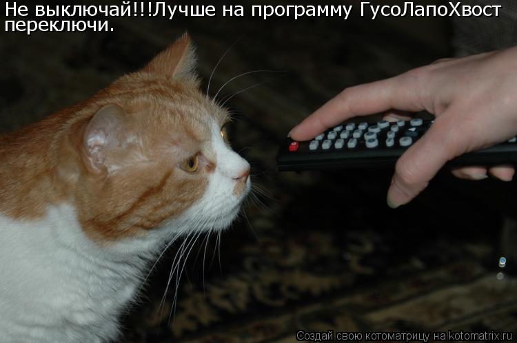 Не выключай!!!Лучше на программу ГусоЛапоХвост переключи.... Котоматрица: Не выключай!!!Лучше на программу ГусоЛапоХвост переключи.