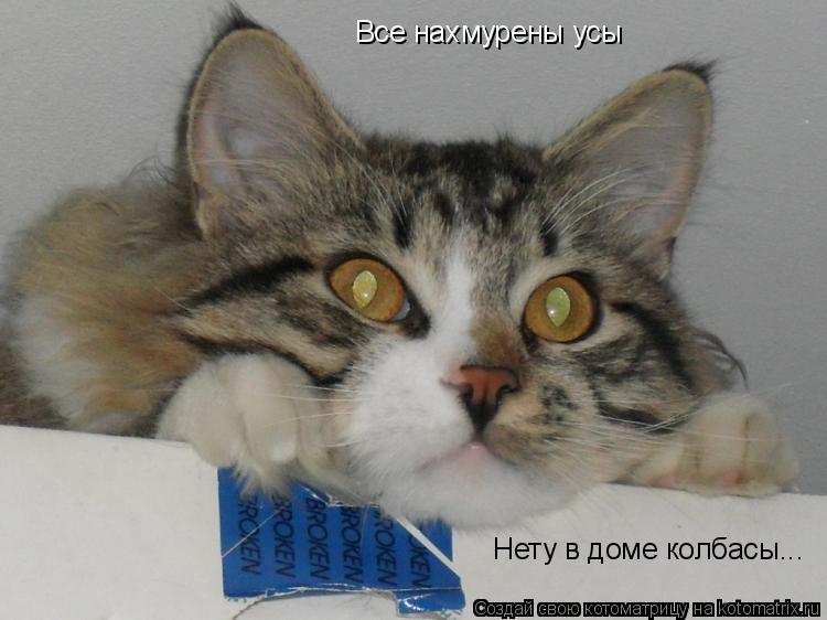 Все нахмурены усы Нету в доме колбасы...... Котоматрица: Все нахмурены усы Нету в доме колбасы...