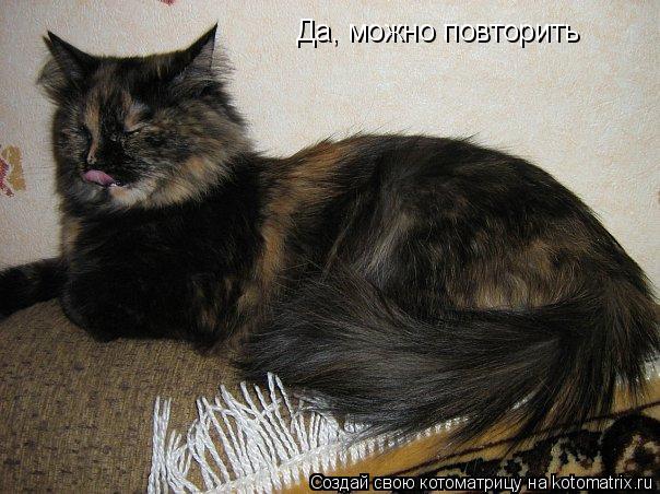 Да, можно повторить... Котоматрица: Да, можно повторить