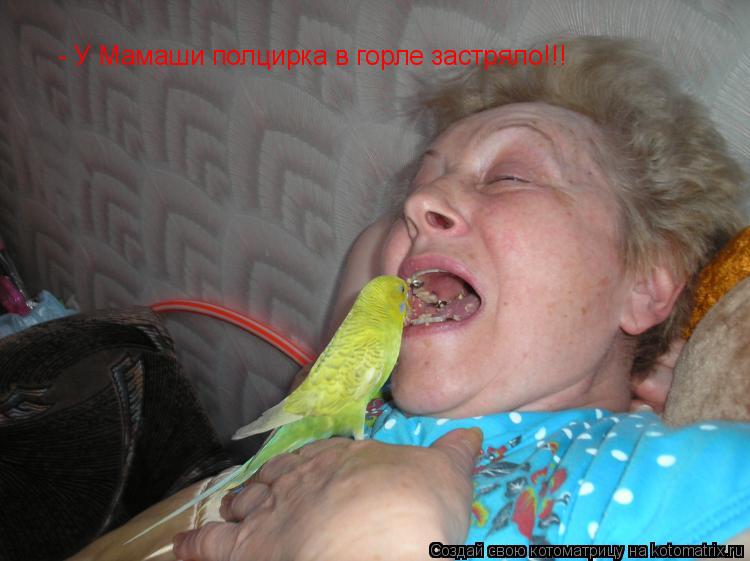 - У Мамаши полцирка в горле застряло!!!... Котоматрица: - У Мамаши полцирка в горле застряло!!!
