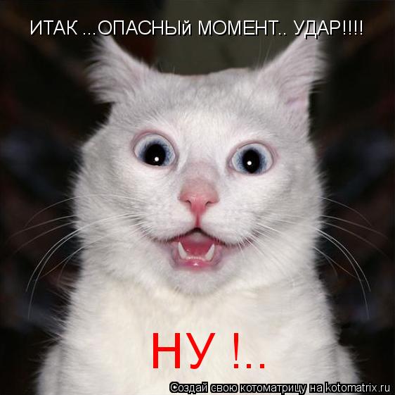 ИТАК ...ОПАСНЫй МОМЕНТ.. УДАР!!!! НУ !..... Котоматрица: ИТАК ...ОПАСНЫй МОМЕНТ.. УДАР!!!! НУ !..