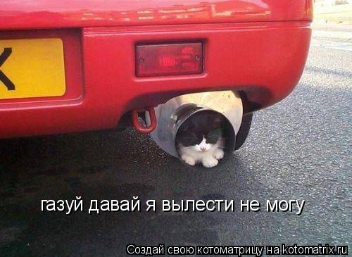 газуй давай я вылести не могу газуй давай я вылести не могу... Котоматрица: газуй давай я вылести не могу газуй давай я вылести не могу