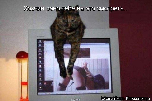 Хозяин рано тебе на это смотреть...... Котоматрица: Хозяин рано тебе на это смотреть...