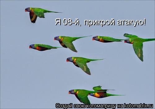 Я 08-й, прикрой атакую!... Котоматрица: Я 08-й, прикрой атакую!