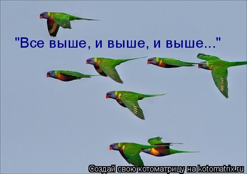 "Все выше, и выше, и выше..."... Котоматрица: "Все выше, и выше, и выше..."