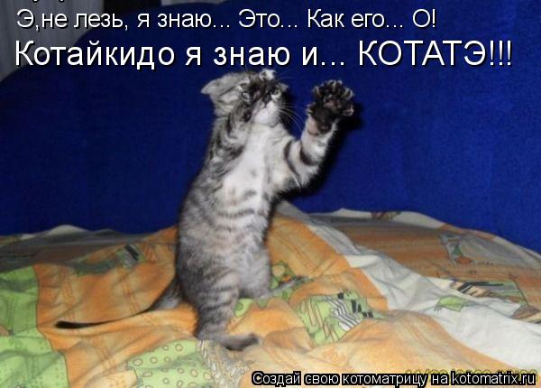 Э,не лезь, я знаю... Это... Как его... О! Котайкидо я знаю и... КОТАТЭ!!!... Котоматрица: Э,не лезь, я знаю... Это... Как его... О! Котайкидо я знаю и... КОТАТЭ!!!
