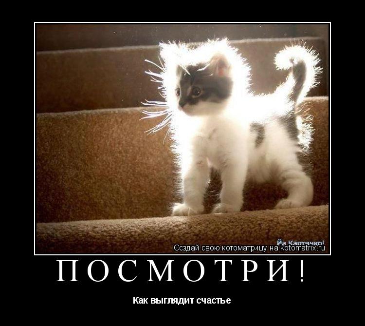 Посмотри! Как выглядит счастье... Котоматрица: Посмотри! Как выглядит счастье