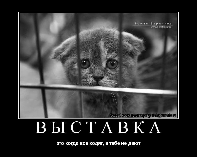 выставка это когда все ходят, а тебе не дают... Котоматрица: выставка это когда все ходят, а тебе не дают