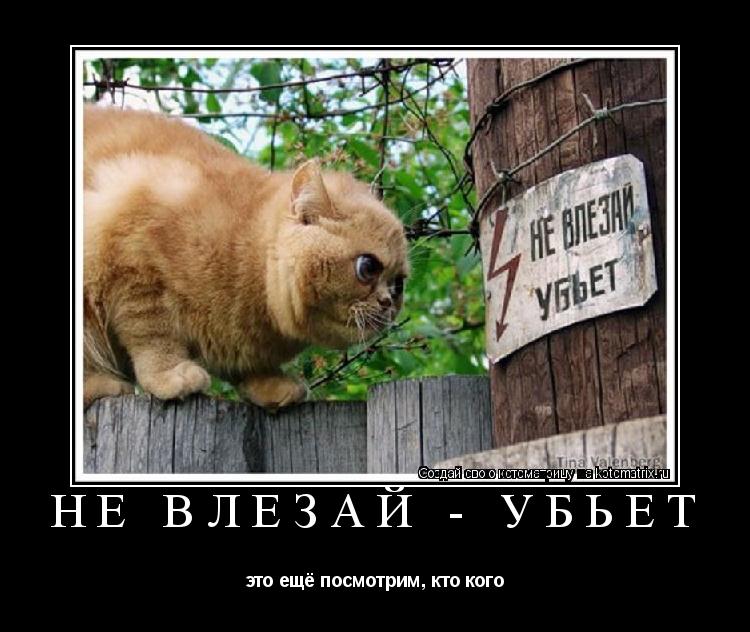 не влезай - убьёт это ещё посмотрим, кто кого... Котоматрица: не влезай - убьёт это ещё посмотрим, кто кого