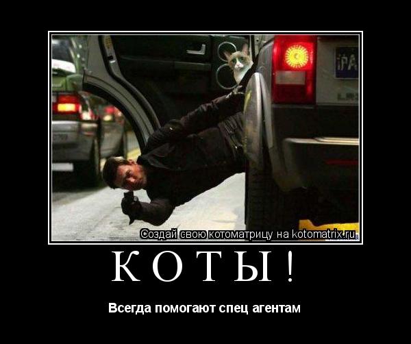 КОТЫ! Всегда помогают спец агентам... Котоматрица: КОТЫ! Всегда помогают спец агентам
