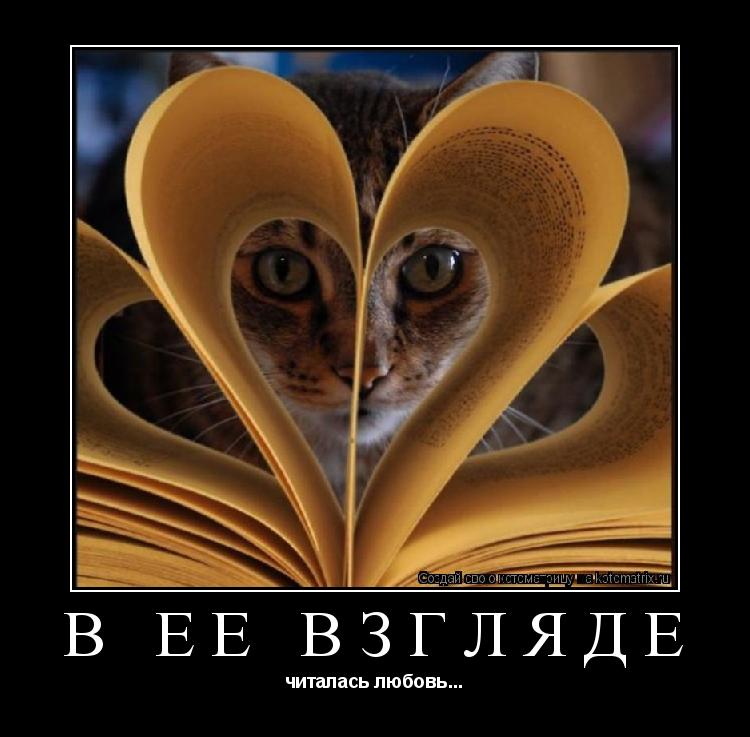в её взгляде читалась любовь...... Котоматрица: в её взгляде читалась любовь...