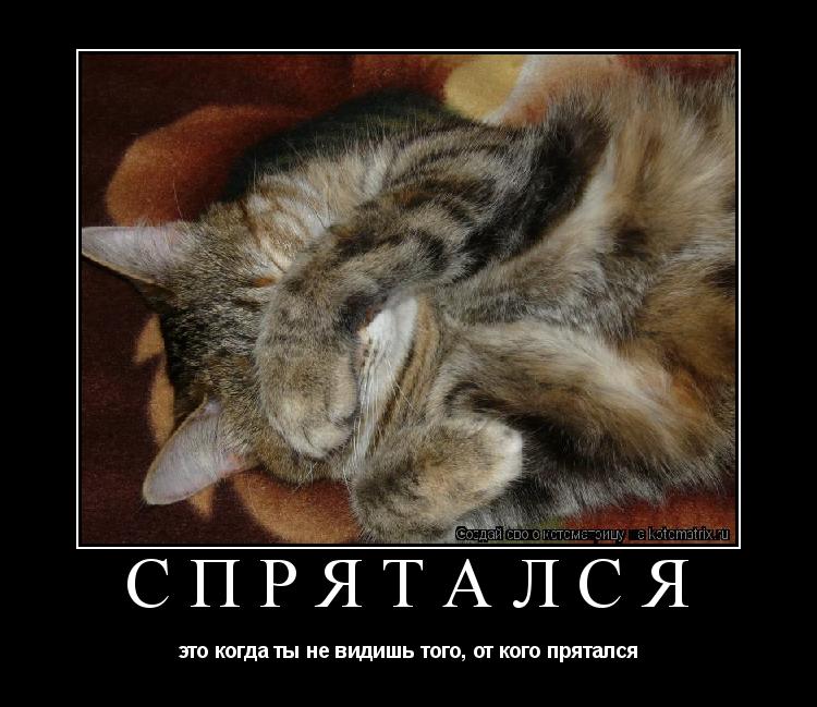 спрятался это когда ты не видишь того, от кого прятался... Котоматрица: спрятался это когда ты не видишь того, от кого прятался