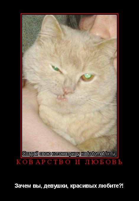 КОВАРСТВО И ЛЮБОВЬ Зачем вы, девушки, красивых любите?!... Котоматрица: КОВАРСТВО И ЛЮБОВЬ Зачем вы, девушки, красивых любите?!