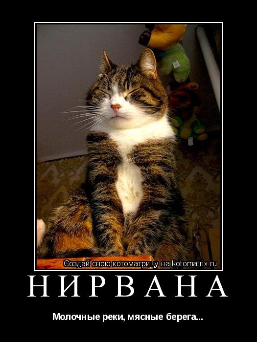НИРВАНА Молочные реки, мясные берега...... Котоматрица: НИРВАНА Молочные реки, мясные берега...