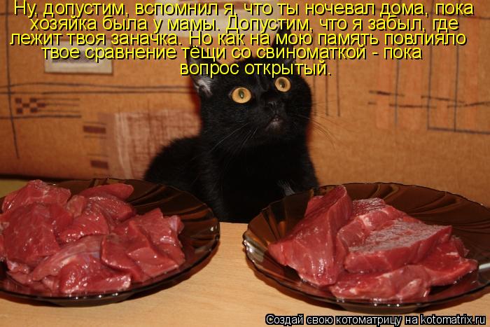 Ну, допустим, вспомнил я, что ты ночевал дома, пока хозяйка была у мамы. Допустим, что я забыл, где ... Котоматрица: Ну, допустим, вспомнил я, что ты ночевал дома, пока хозяйка была у мамы. Допустим, что я забыл, где лежит твоя заначка. Но как на мою память по