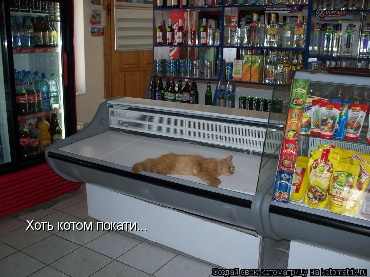 Хоть котом покати...... Котоматрица: Хоть котом покати...