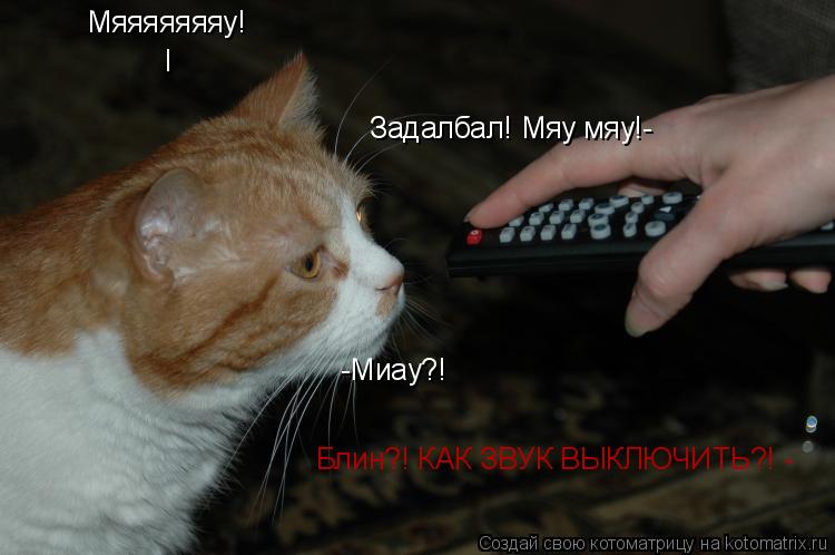 Мяяяяяяяу! I Задалбал! Мяу мяу!- -Миау?! Блин?! КАК ЗВУК ВЫКЛЮЧИТЬ?! -... Котоматрица: Мяяяяяяяу! I Задалбал! Мяу мяу!- -Миау?! Блин?! КАК ЗВУК ВЫКЛЮЧИТЬ?! -